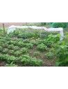 SERRE CHENILLE 1m30 x 5m00               