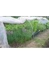 SERRE CHENILLE 1m30 x 5m00               