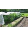 SERRE CHENILLE 1m30 x 10m00              