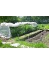 SERRE CHENILLE 1m30 x 10m00              