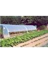SERRE MINI 3m70 x 12m00                  