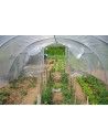Serre Tonneau ABRI LEGUMES 4m00 x 8m00