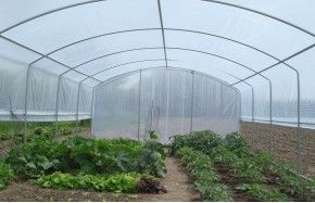 SERRE 4 SAISONS PLUS 4m00 x 6m00