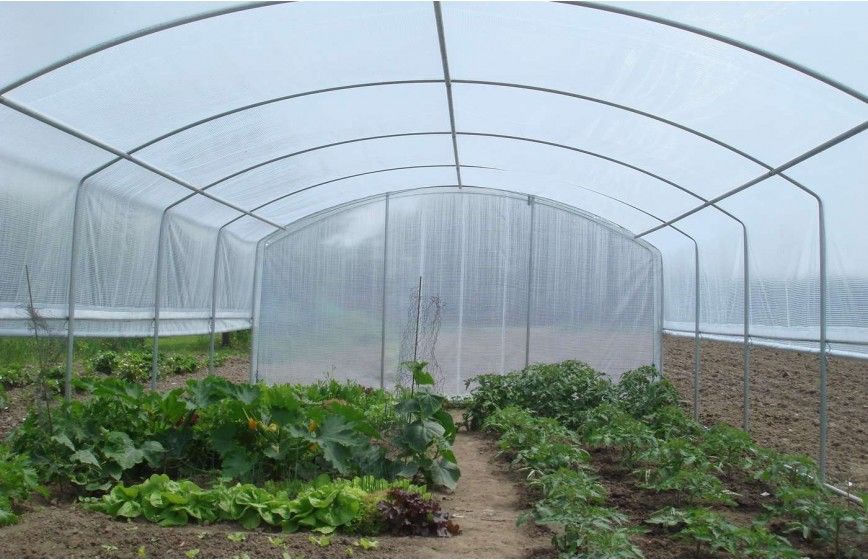 SERRE 4 SAISONS PLUS 4m00 x 6m00