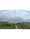 SERRE 4 SAISONS PLUS 4m00 x 6m00