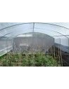 SERRE 4 SAISONS PLUS 4m00 x 6m00
