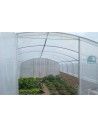 SERRE 4 SAISONS PLUS 4m00 x 7m50