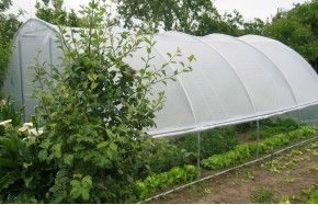 SERRE GOTHIQUE 4m50 x 6m00               