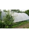 SERRE GOTHIQUE 4m50 x 6m00               