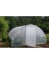 SERRE GOTHIQUE 4m50 x 6m00               
