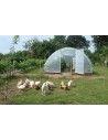 SERRE GOTHIQUE 4m50 x 9m00               