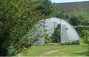 SERRE GOTHIQUE 4m50 x 4m50               