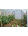 SERRE GOTHIQUE 4m50 x 12m00              
