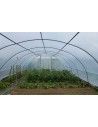 SERRE SUPER 5m80 x 10m50                 
