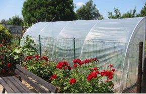 SERRE OPTIMUM 3m70 x 6m00                
