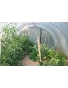 SERRE OPTIMUM 3m70 x 6m00                