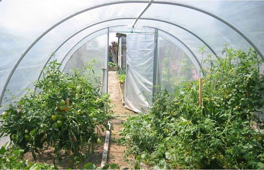 SERRE OPTIMUM 3m70 x 7m50                