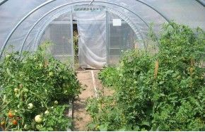 SERRE OPTIMUM 3m70 x 12m00