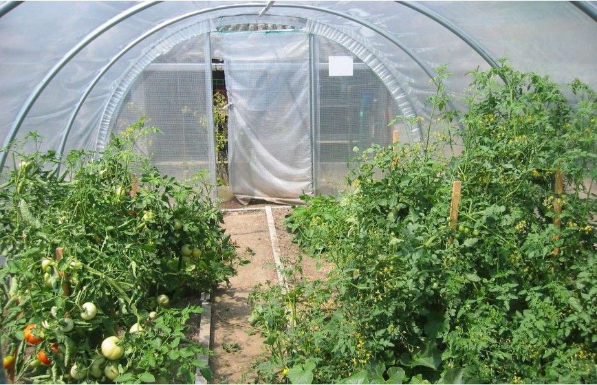 SERRE OPTIMUM 3m70 x 12m00