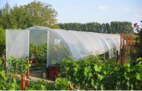 SERRE FLANDRE 3m70 x 18m00               