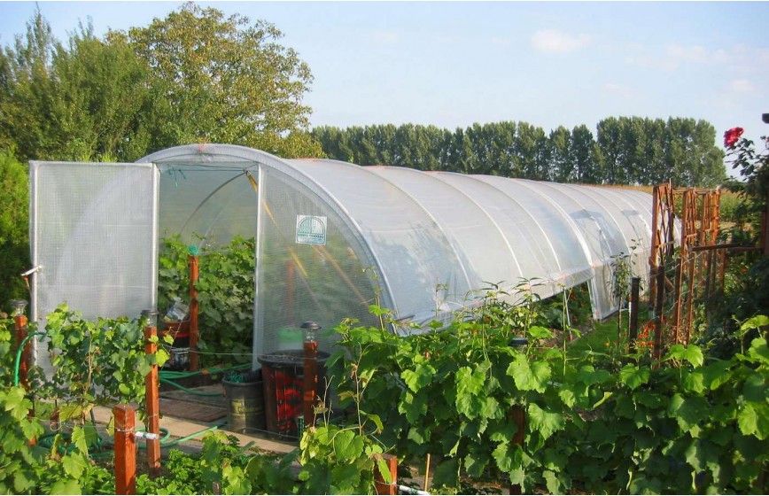 SERRE FLANDRE 3m70 x 18m00               