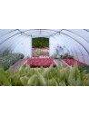 SERRE BRETAGNE 5m80 x 30m00              