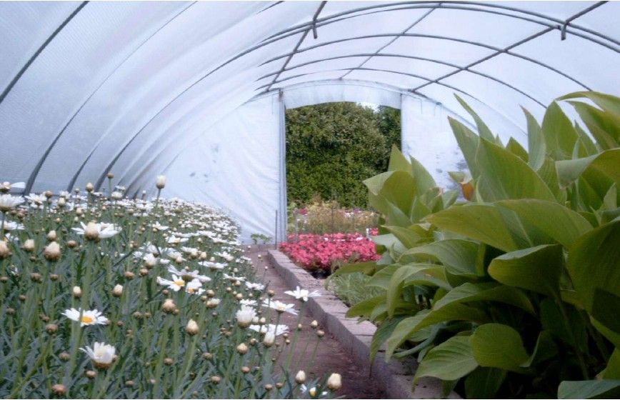 SERRE BRETAGNE 5m80 x 24m00              