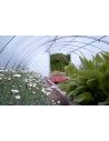 SERRE BRETAGNE 5m80 x 24m00              