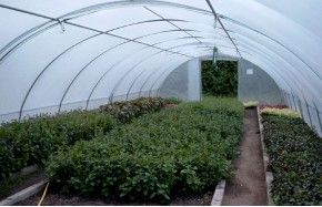 SERRE BRETAGNE 5m80 x 36m00              