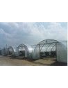 SERRE NORMANDIE AVEC AERATIONS 6m50 x 22m50          