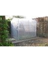 Serre Primeur pour hibiscus hors gel
