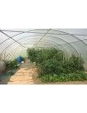 SERRE NORMANDIE AVEC AERATIONS 6m50 x 18m00          