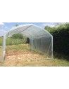 Abri tomates pieds droits 3m00 x 6m00