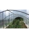 Abri tomates pieds droits 3m00 x 6m00