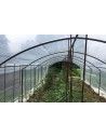 Abri tomates 3m00 x 7m50
