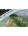 Abri tomates 3m00 x 7m50
