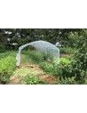 Tunnel Abri tomates pieds droits 3m00 x 9m00