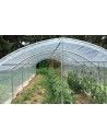 Serre pour maraichage, Abri tomates pieds droits 3m00 x 9m00