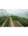 SERRE BRETAGNE 5m80 x 18m00              