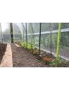 SERRE JARDINIERE 3m00 x 8m00             