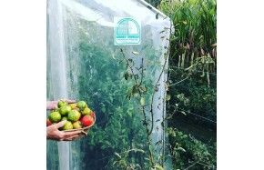 JOUE ABRI POTAGER 1m25 x 2m50