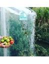 JOUE ABRI POTAGER 1m25 x 2m50