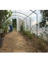 Serre 4 Saisons marque Serres Tonneau, largeur 3m00 x 7m50, Surface 22,50m²