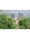 SERRE OPTIMUM 3m70 x 4m50                