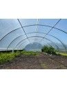 S004AT-120  - La Serre Super SERRE SUPER 5m80 x 12m00 Avec ou sans aérations

Surface : 69,60m² - 3  