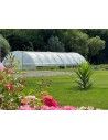 Serre Super 5m80 x 12m00 Avec ou sans aérations

Surface : 69,60m² - 1