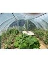 La Serre Super SERRE SUPER 5m80 x 6m00 Avec ou sans aérations

Surface : 34,80m² - 3