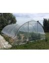 FOND SANS PORTE SERRE GOTHIQUE Façade sans porte pour serre Gothique largeur 4.50 m | Serres Tonneau