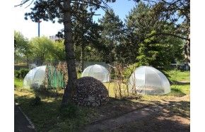 B020ST-039-PE2X  - Serre Igloo BACHE DE TOIT SERRE IGLOO  - 2  