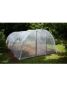 Serres maraîchères pour le jardin 3,7m x 6m | Serres Tonneau